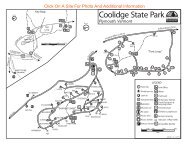 Coolidge State Park Interactive Campground Map & Guide (pdf)