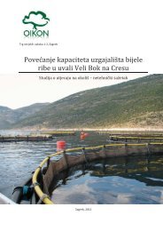 Ne-tehniÄki saÅ¾etak za javni uvid - Procjena utjecaja na okoliÅ¡