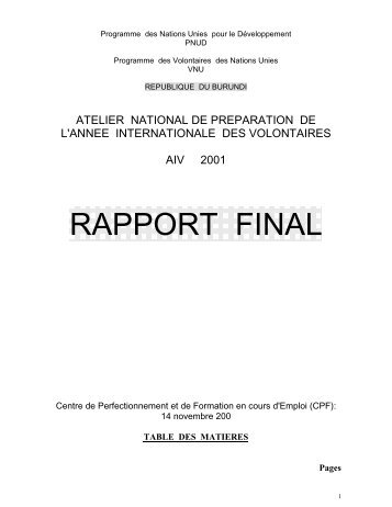 RAPPORT FINAL - World Volunteer Web