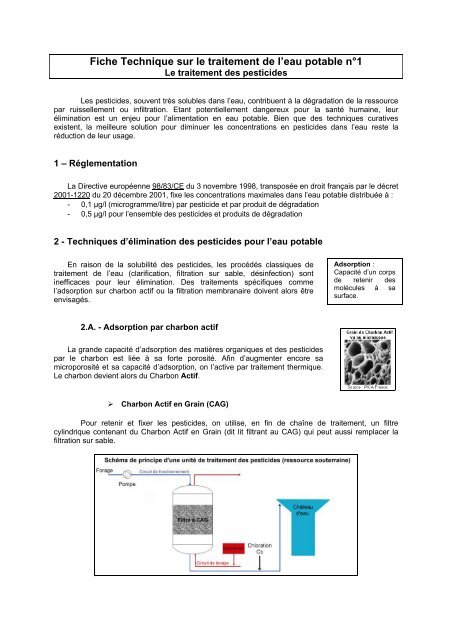 Filtre à charbon actif pour traitement de l'eau