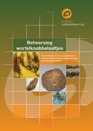 Brochure Beheersing wortelknobbelaaltjes - 2011 ... - Kennisakker.nl