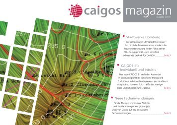 2011-3 - Caigos GmbH