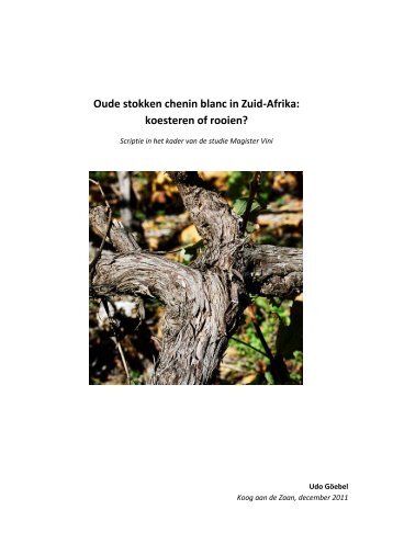 Oude stokken chenin blanc in Zuid-Afrika: koesteren of rooien?