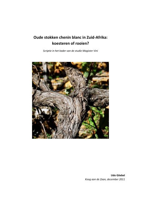 Oude stokken chenin blanc in Zuid-Afrika: koesteren of rooien?