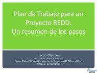 un plan para proyecto redd