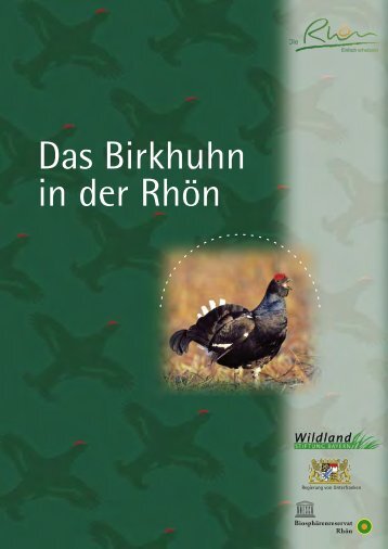Das Birkhuhn in der Rhön - Wildland Stiftung