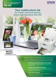 Epson PictureMate PM245