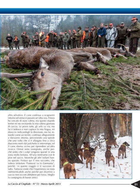 La Caccia al Cinghiale (02/2013) - Bignami