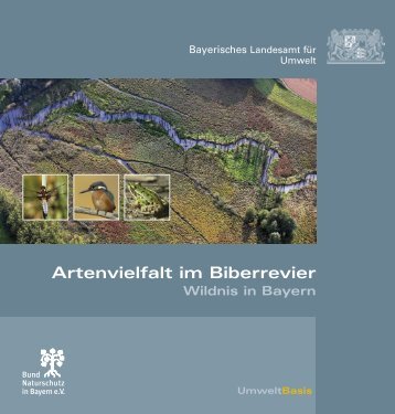 Artenvielfalt im Biberrevier - Die Biberburg - Die Website rund um ...