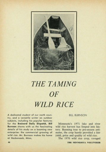 THE TAMING OF WILD RICE - webapps8