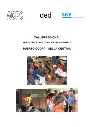 taller puerto ocopa. - Sistema de Información Forestal de la ...