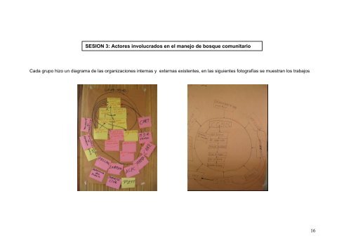 taller puerto ocopa. - Sistema de Información Forestal de la ...