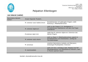 Palpation Ellenbogen - MWE Physio