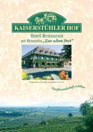 Entwurf Prospekt KH - Kaiserstuehler Hof Breisach