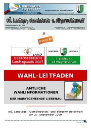 Wahlinformation der Gemeinde Liebenau mit allen Details