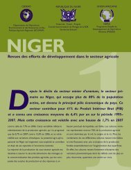 le niger - CAADP