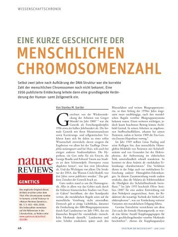 menschlichen chromosomenzahl - Zentrum für Molekulare Biologie ...