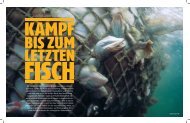 PDF zum Download - Medium Magazin