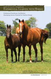 Experiential Learning with Horses - Lake Erie College