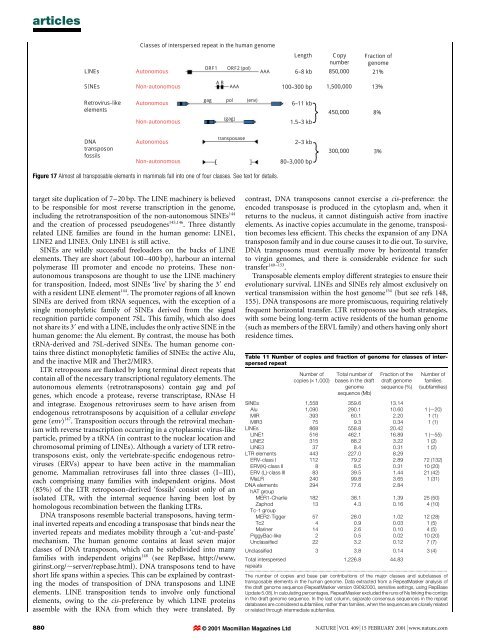 Initial sequencing and analysis of the human genome - Vitagenes