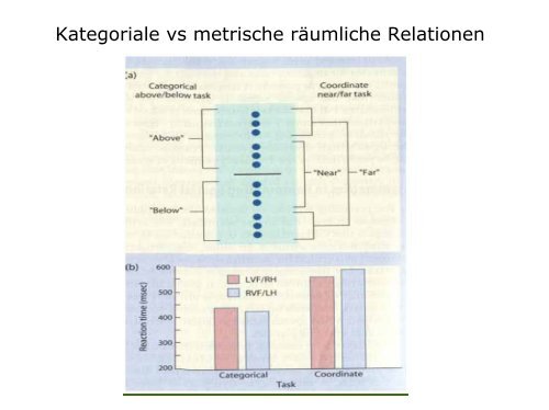 Welche neuropsychologischen Störungsbilder sind nach ...