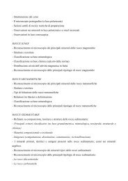 Programma Petr rocce sedim e lab petr.pdf