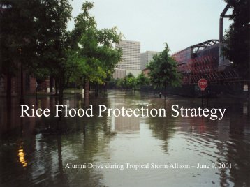 Rice Flood Protection Strategy - Rice University