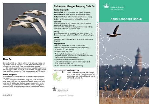 Agger Tange og Flade Sø - Naturstyrelsen