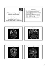 v/ Lars Bendtsen, OverlÃ¦ge, Dr. Med (pdf).