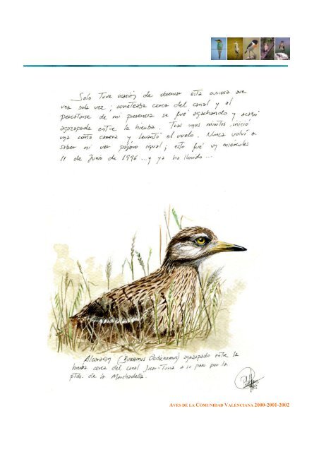 aves de la comunidad valenciana 2000-2001-2002 - InterNatura