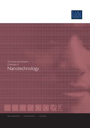 The social and economic challenges of nanotechnology