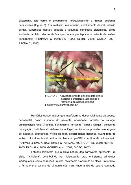 implicaÃ§Ãµes clÃ­nicas da doenÃ§a periodontal em cÃ£es - UFG