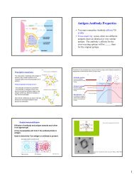 Antigen-Antibody Properties