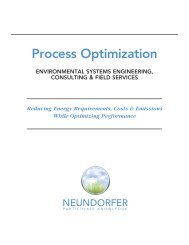 Process Optimization Consulting - Neundorfer, Inc.