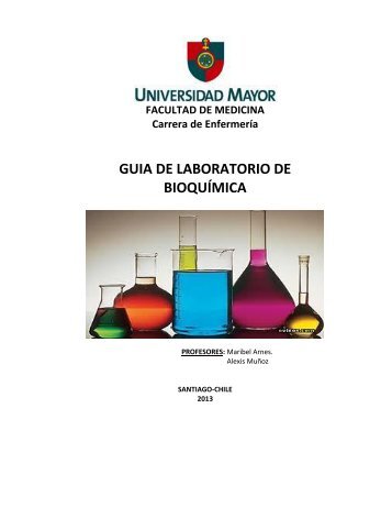 Guia Lab BioquÃ­mica EnfermerÃ­a 2013 - Profesora Maribel Arnes