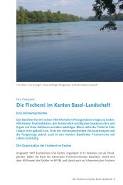 Die Fischerei im Kanton Basel-Landschaft - Kantonaler ...