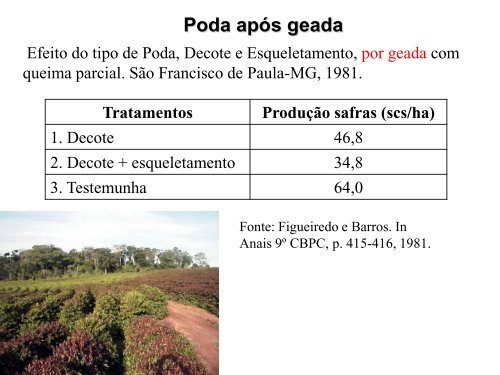 Manejo de podas do cafeeiro - Fundação Procafé