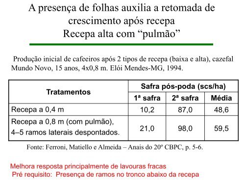 Manejo de podas do cafeeiro - Fundação Procafé