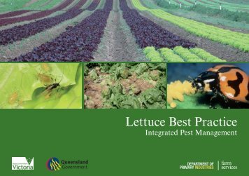 Lettuce Best Practice - Department of Primary Industries