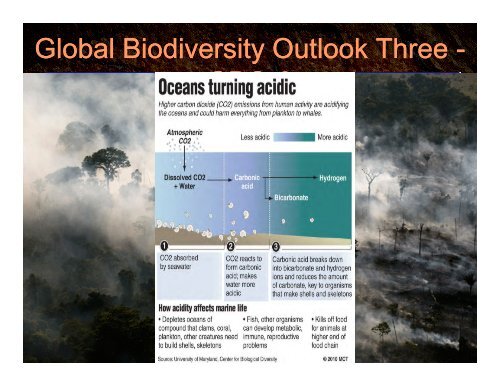 The Business Case for Climate Capitalism - Colorado WaterWise