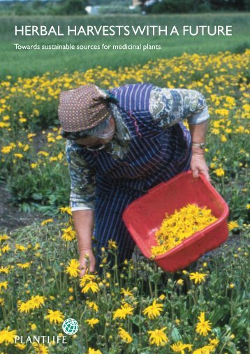 HERBAL HARVESTS WITH A FUTURE - Plantlife