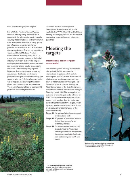 HERBAL HARVESTS WITH A FUTURE - Plantlife