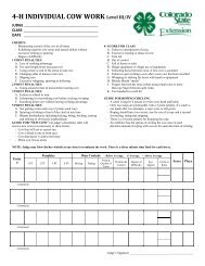 Ranch Individual Cow Work Level II Score Card - Colorado 4-H