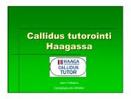 Callidus-tuutorointi haaga instituutin ammattikorkeakoulussa