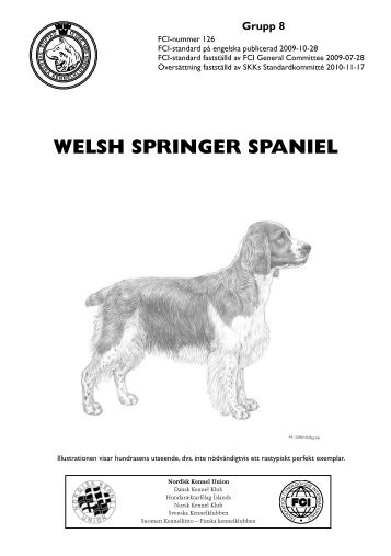 SKK-standard fÃ¶r Welsh Springer spaniel - Svenska Kennelklubben