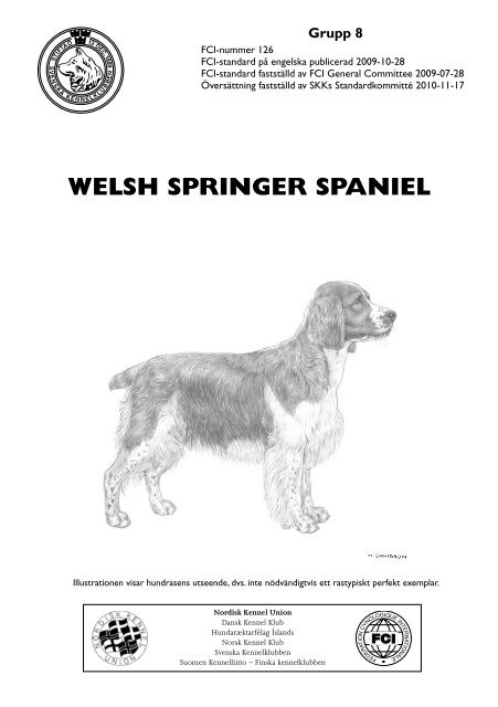 SKK-standard fÃ¶r Welsh Springer spaniel - Svenska Kennelklubben