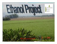 Ethanol Project