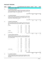 PRESUPUESTO Y MEDICIONES - Neiker