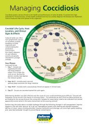 coccidiosis leaflet 08:Layout 1 - Inform Nutrition