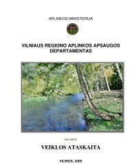 VRAAD 2004 metų veiklos ataskaita - Vilniaus regiono aplinkos ...